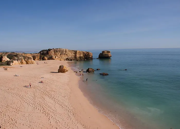 Rosal Margarida 阿尔布费拉