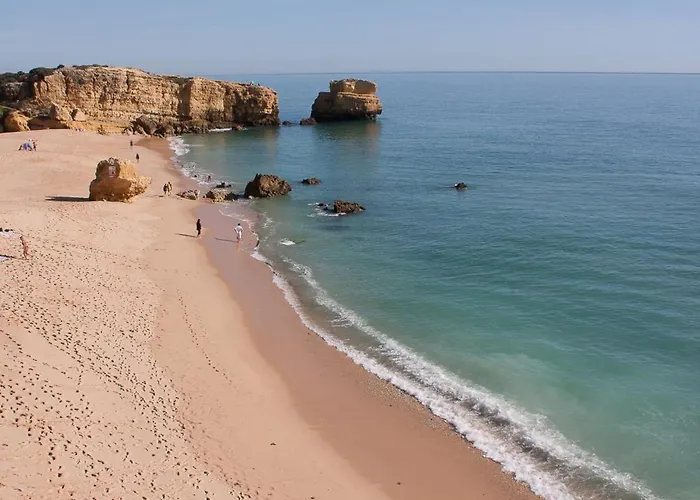 Rosal Margarida 阿尔布费拉